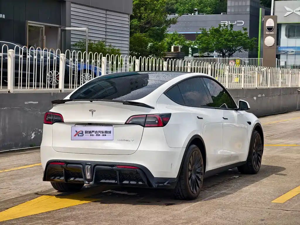 Tesla Model Y — миниатюра 7