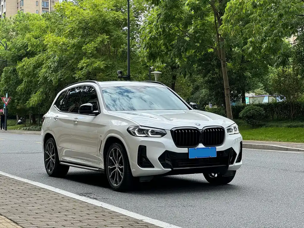 BMW X3 — миниатюра 7