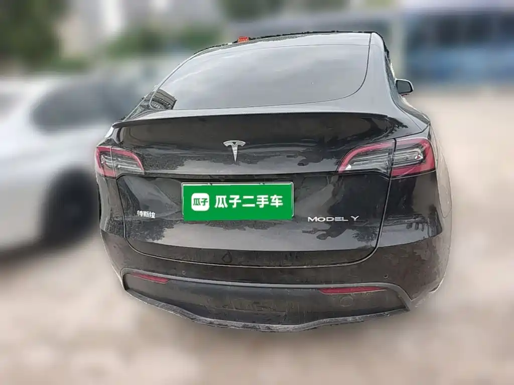 Tesla Model Y — миниатюра 8