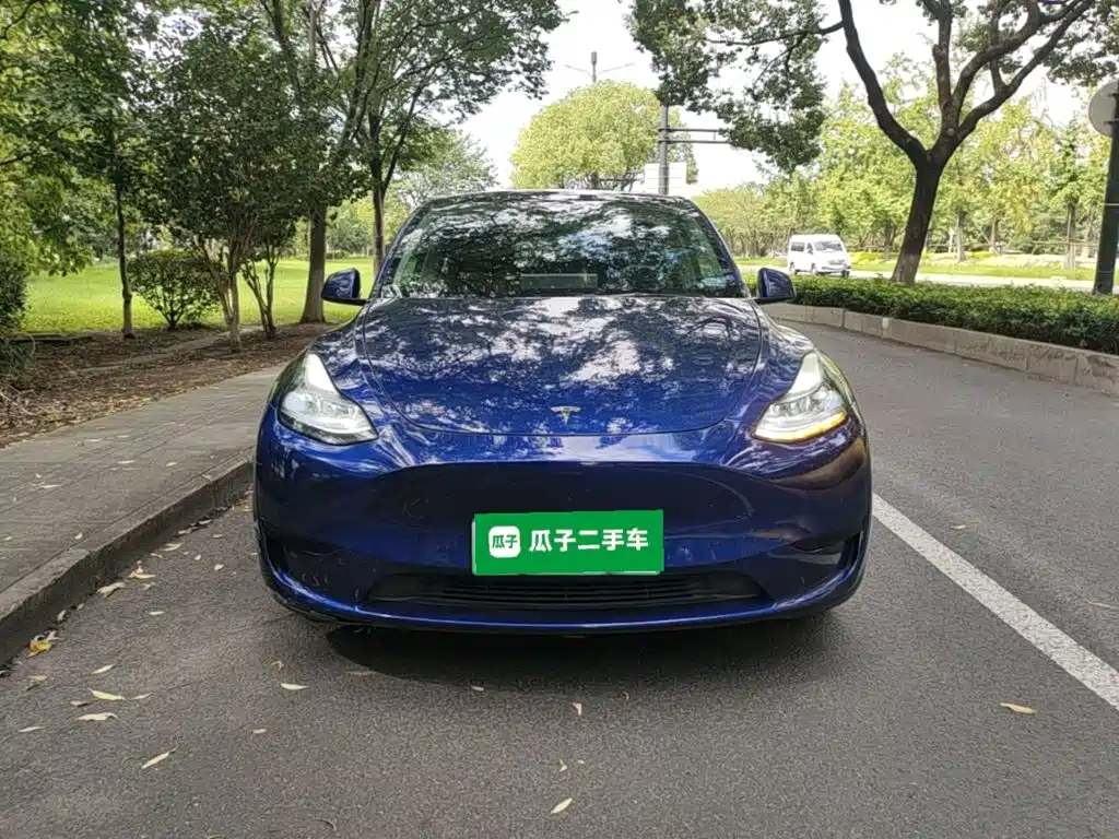 Tesla Model Y — миниатюра 3