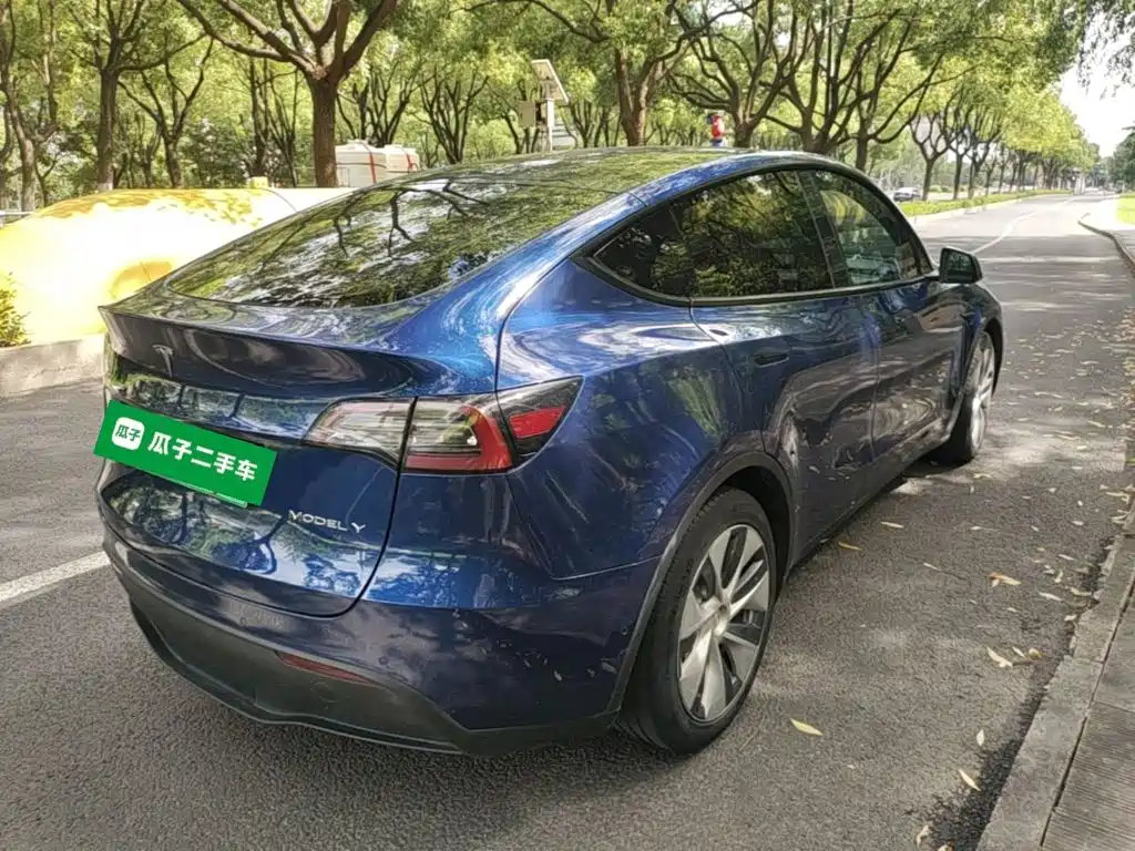 Tesla Model Y — миниатюра 7