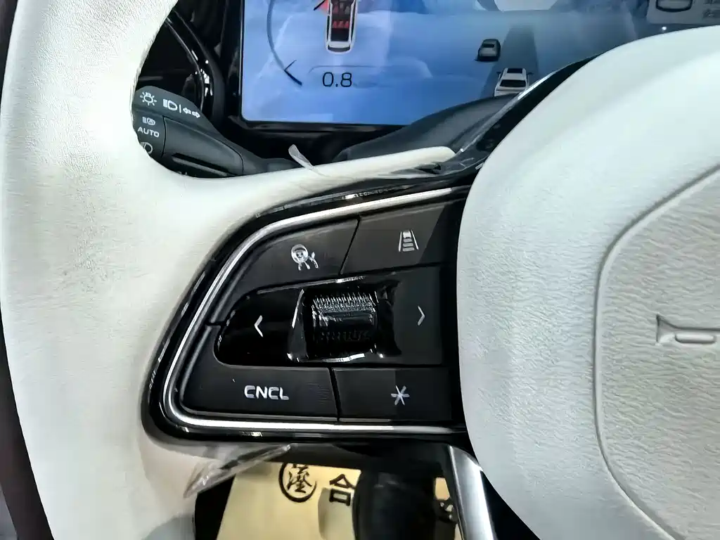 GEELY AUTOMOBILE XINGYUE L