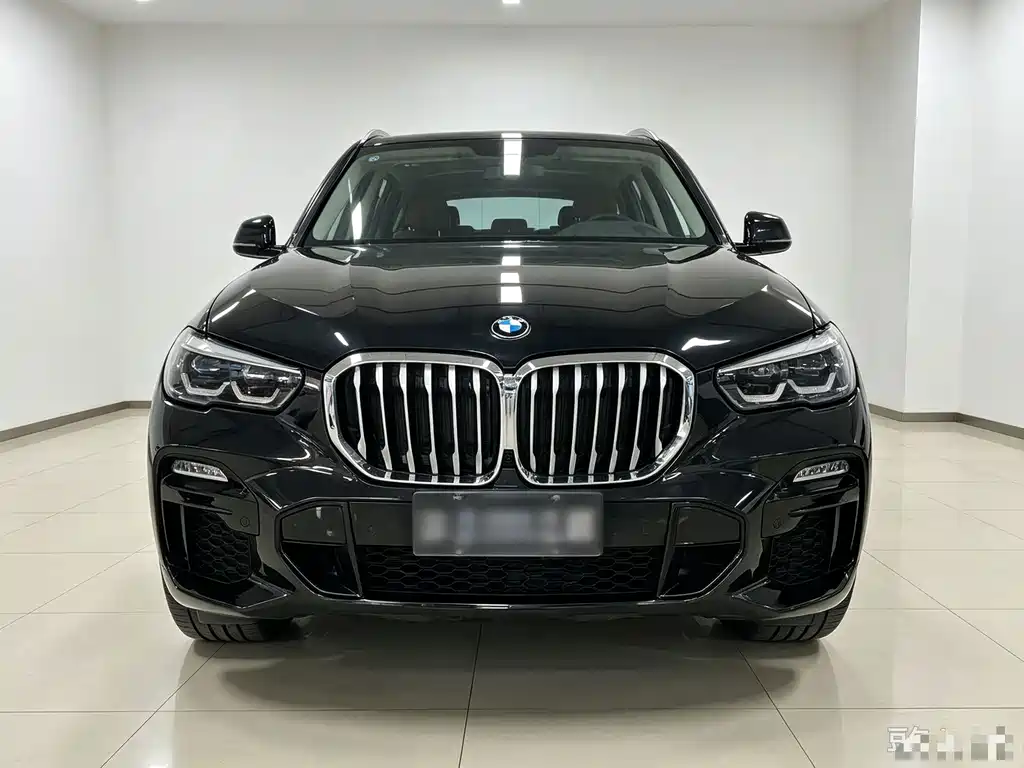 BMW X5 (Import) — миниатюра 2