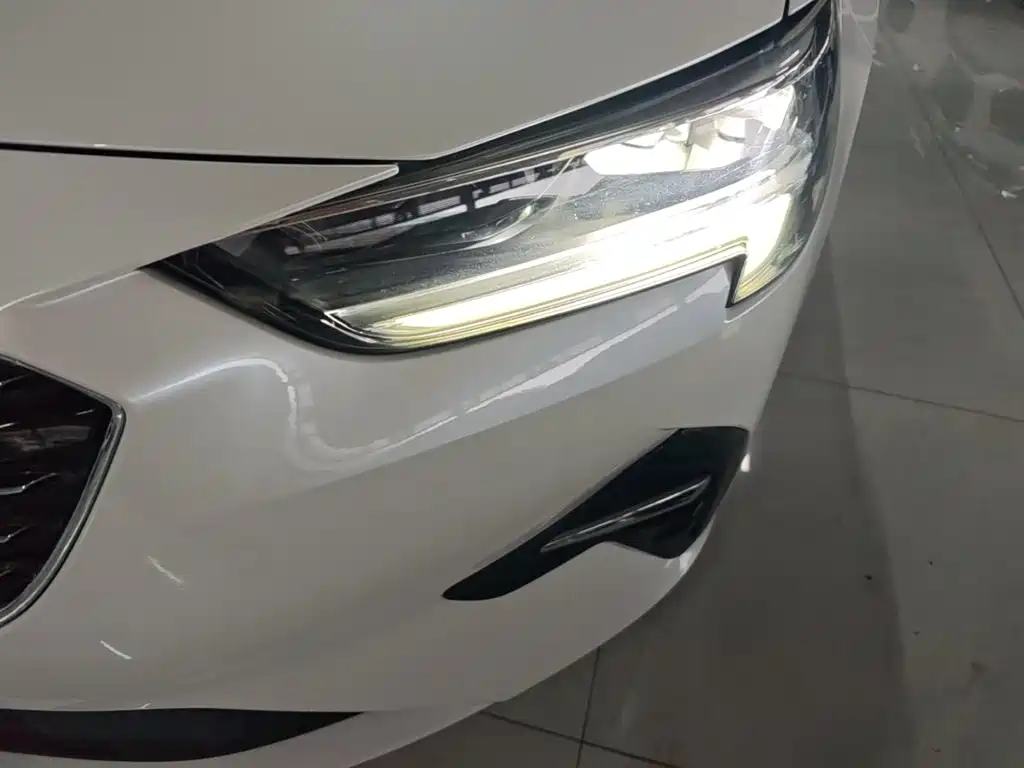 Buick Regal — миниатюра 24