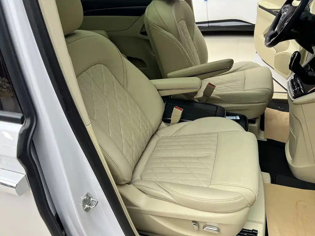 Buick GL8 — миниатюра 16