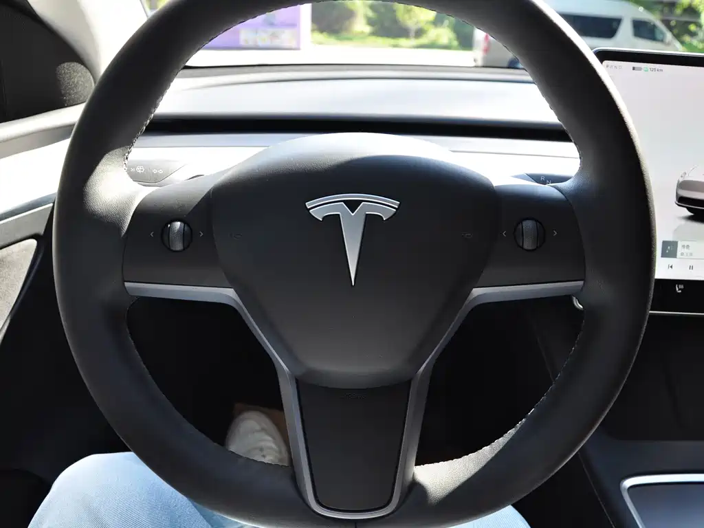 Tesla Model Y — миниатюра 12