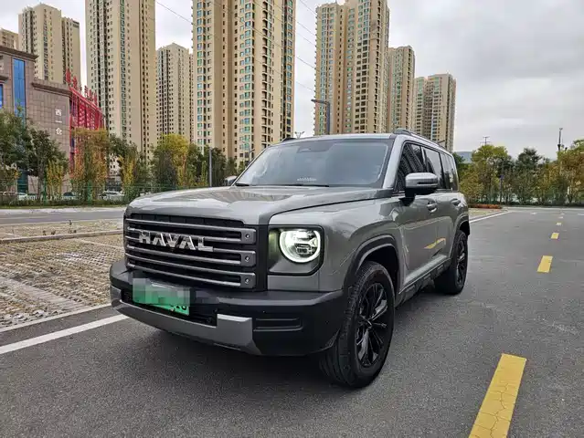 HAVAL RAPTORS NEW ENERGY 2024