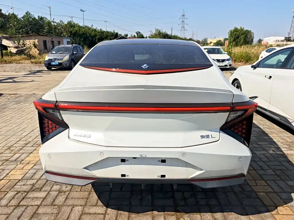 Lingxi Lingxi L — миниатюра 6