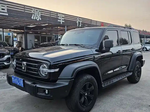 2025 TANK 300