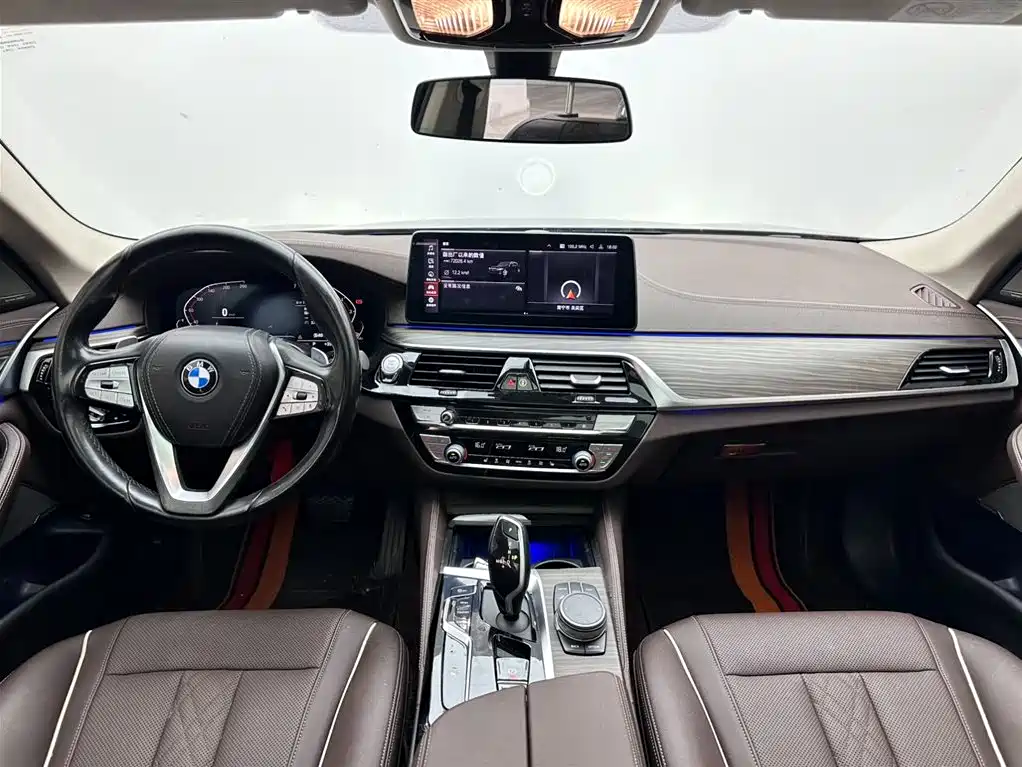BMW 5 Series 5 2021 530Li Lead Luxury