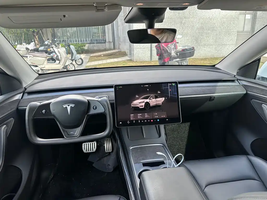 Tesla Model Y — миниатюра 6