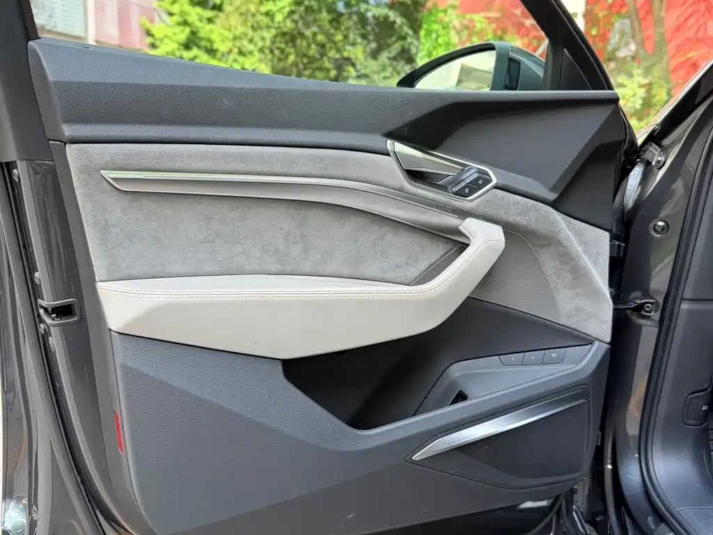 Audi e-tron (Import) — миниатюра 5
