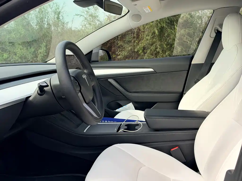 Tesla Model 3 — миниатюра 7