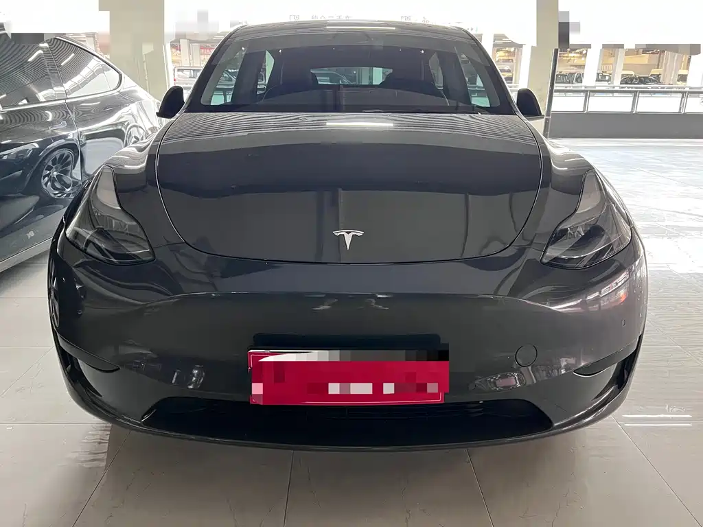 Tesla Model Y — миниатюра 2