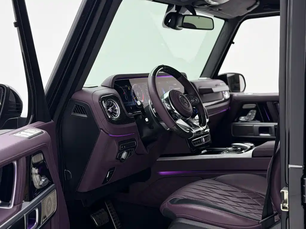 Mercedes-Benz G-Class G 2010 G 500