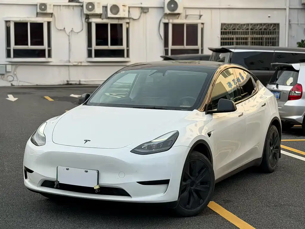 Tesla Model Y — миниатюра 7