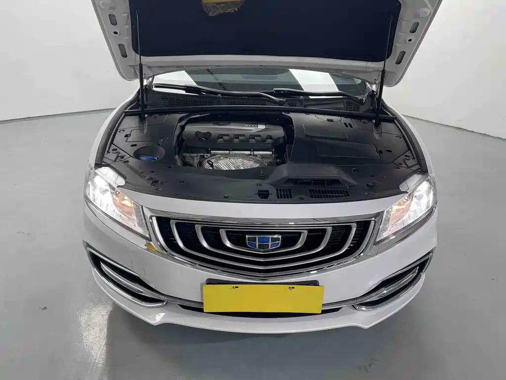 GEELY AUTOMOBILE BORUI