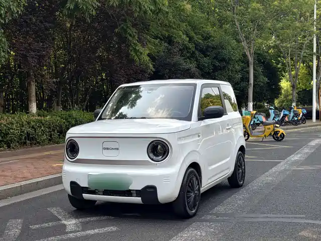 2023 Geely LC (Panda)