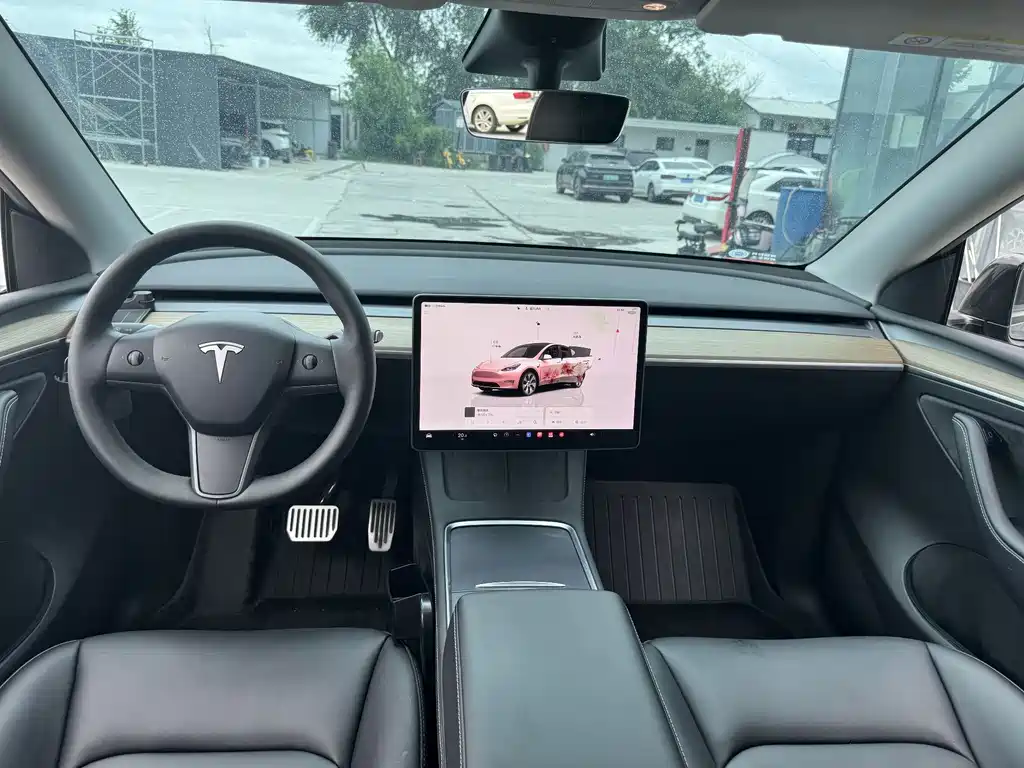 Tesla Model Y — миниатюра 5