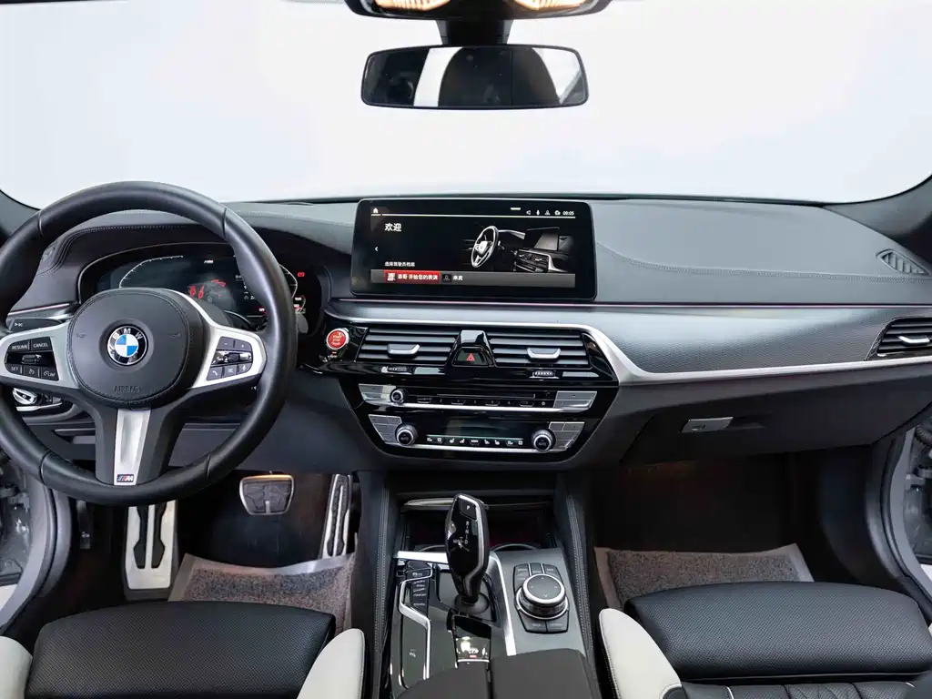 BMW 5 Series (Import) — миниатюра 16