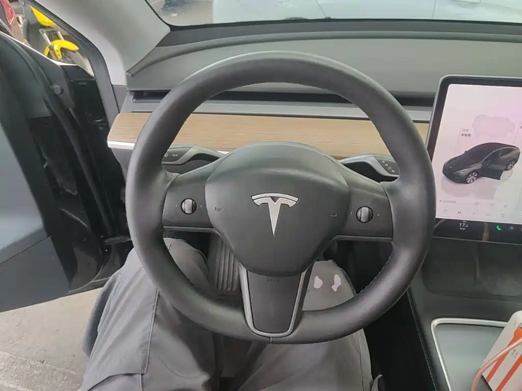 Tesla Model Y — миниатюра 11