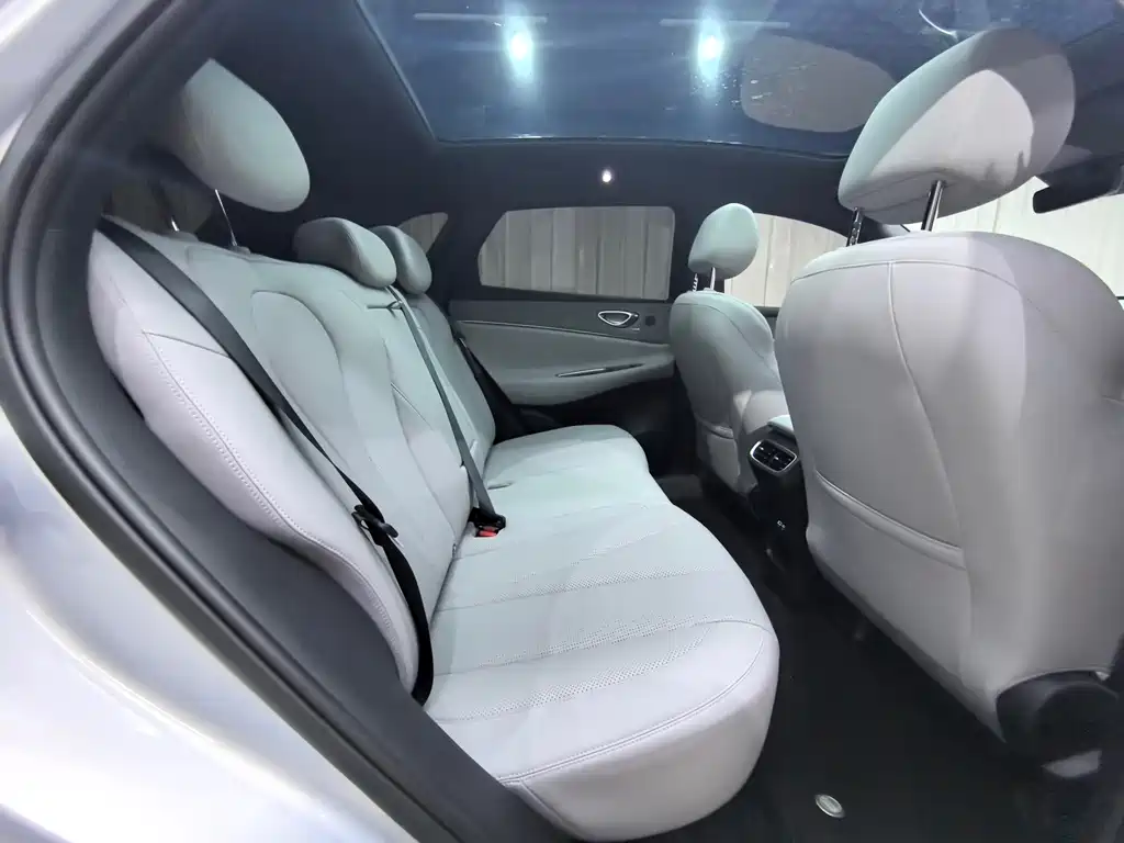 BYD Haisi 06 — миниатюра 44