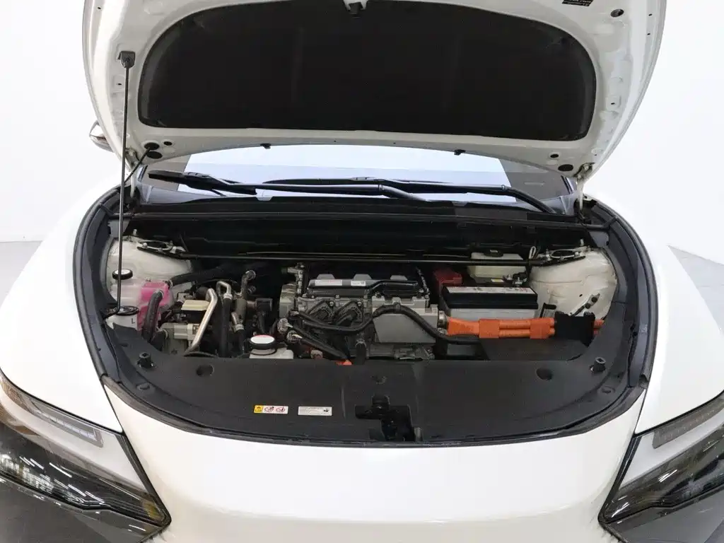Lexus RZ — миниатюра 20
