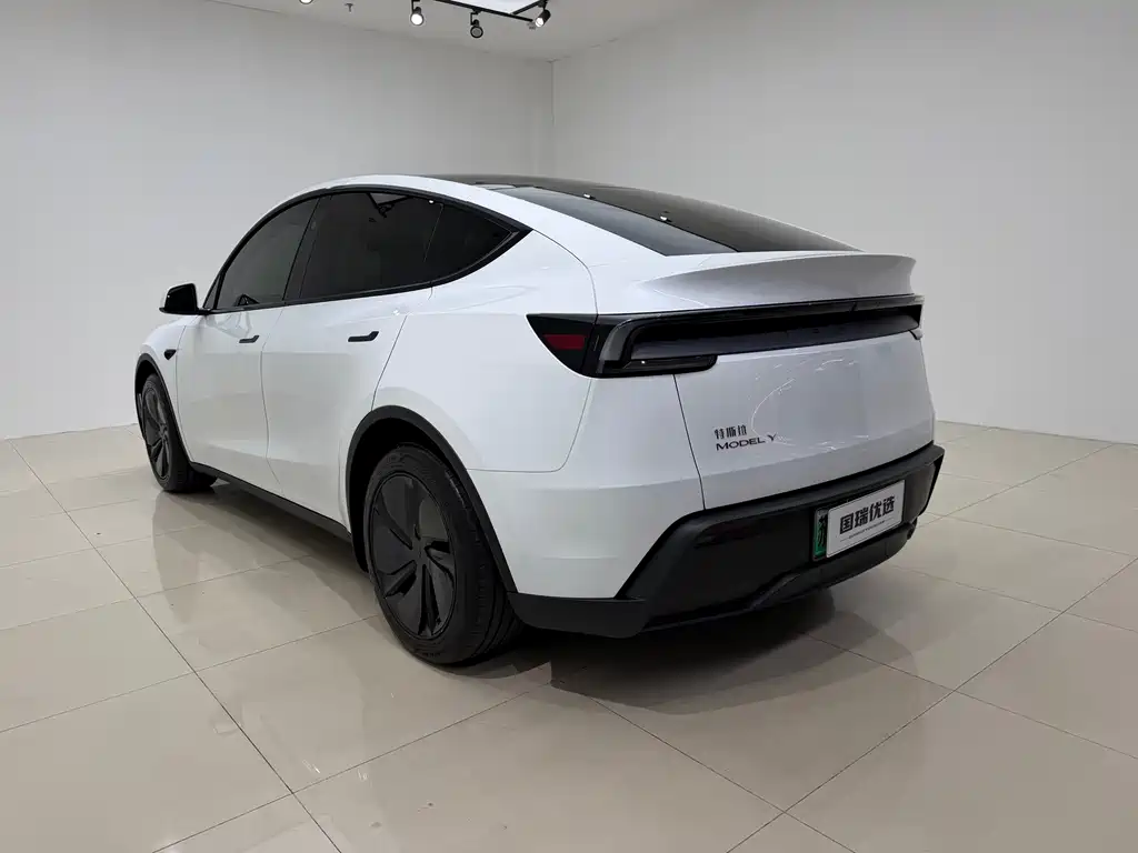 Tesla Model Y — миниатюра 6