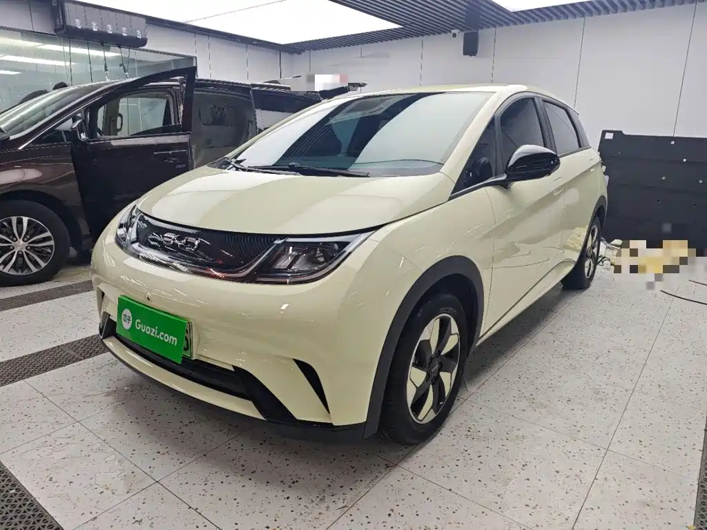 BYD Dolphin