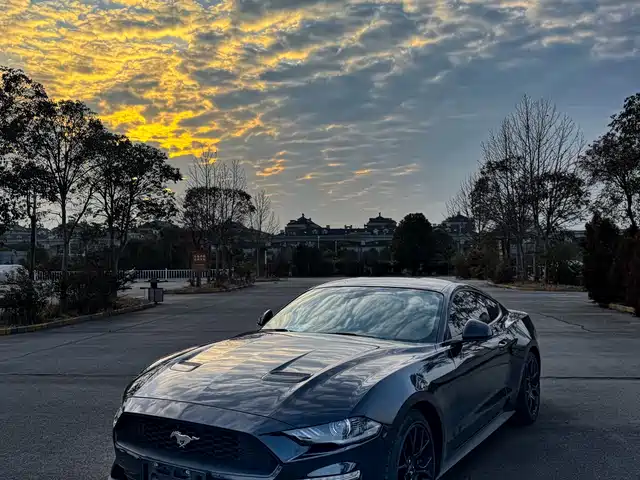 FORD MUSTANG