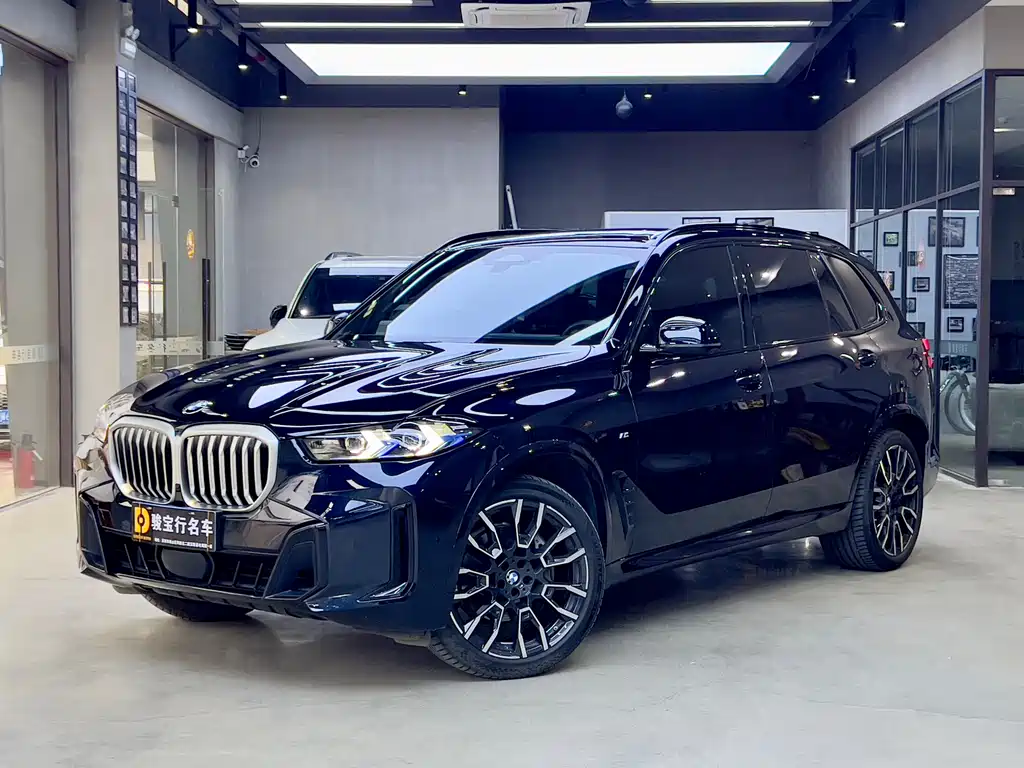 BMW X5 2025