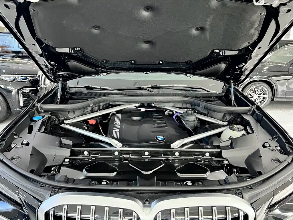 BMW X7 — миниатюра 24