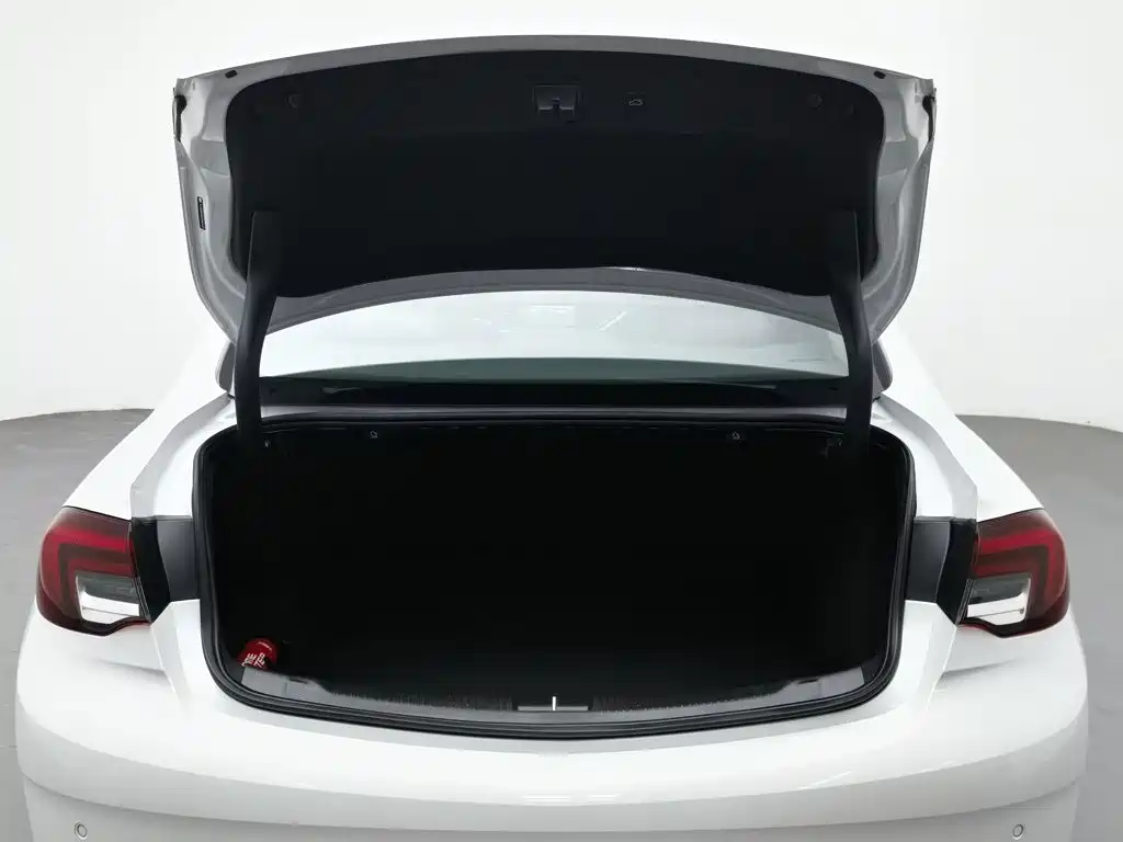 Buick Regal — миниатюра 16