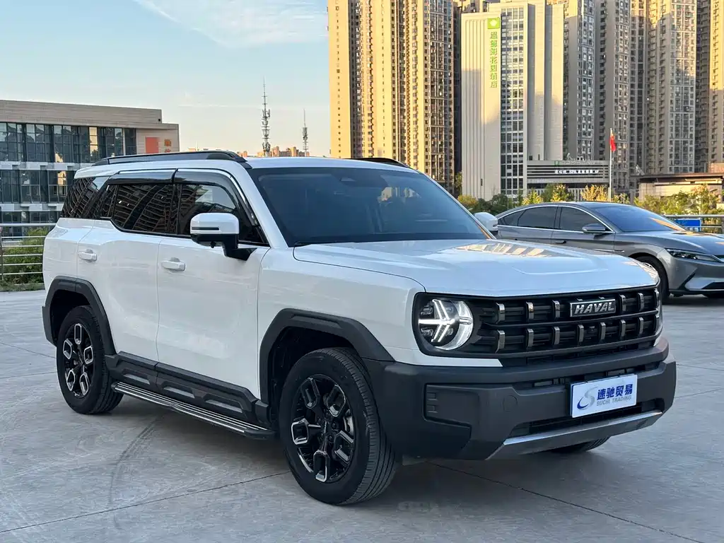 Haval Cool Dog — миниатюра 3