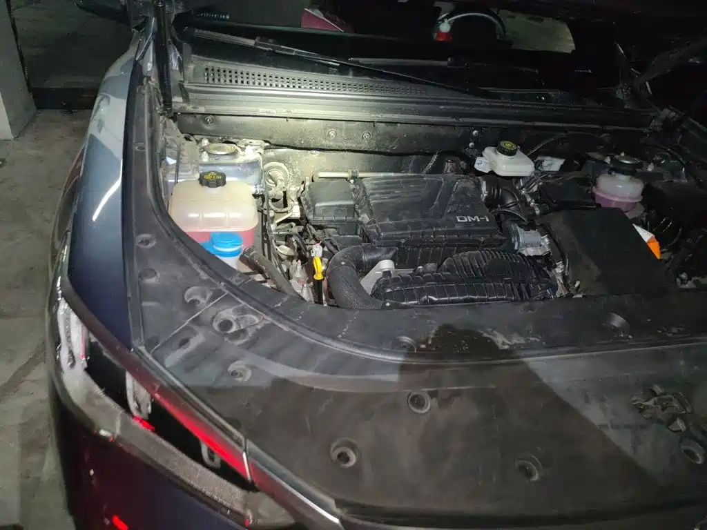 BYD Pro New Energy — миниатюра 19