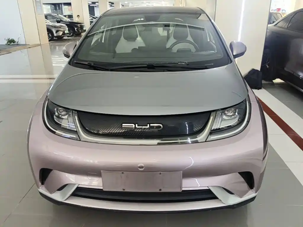 BYD Dolphin — миниатюра 3