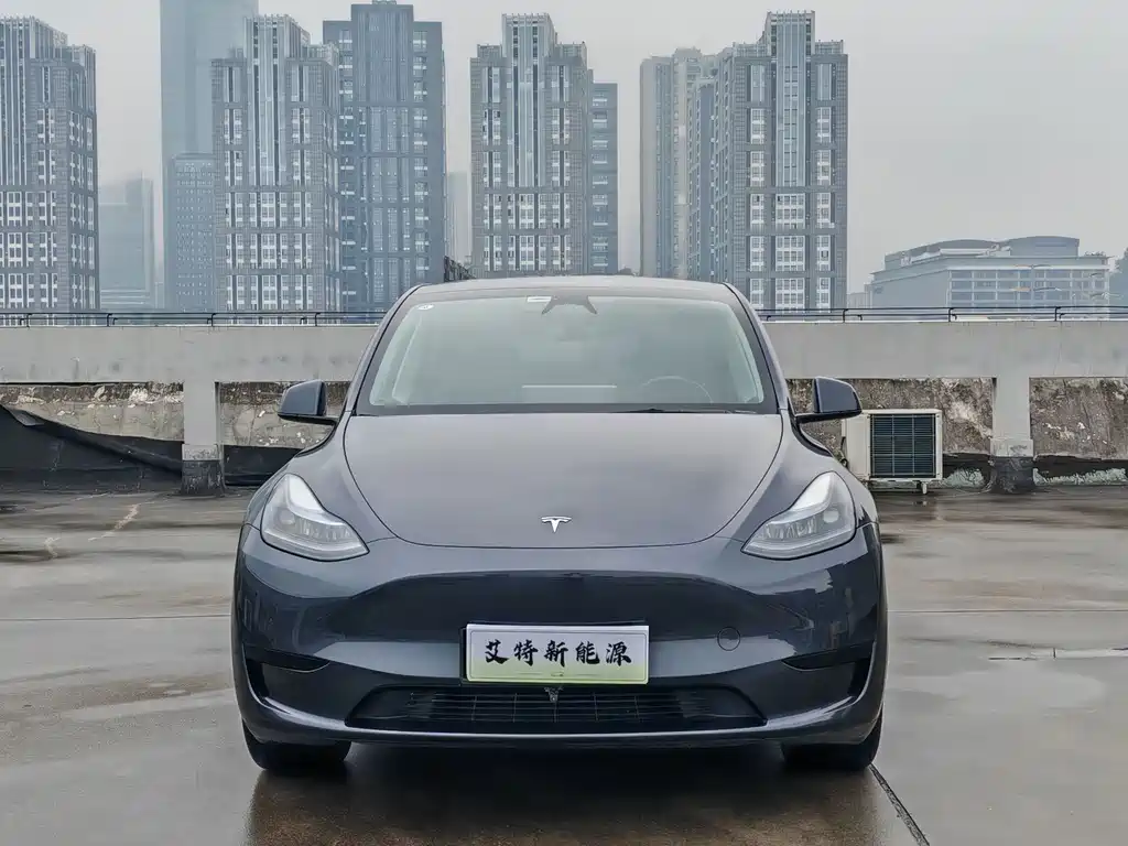 Tesla Model Y — миниатюра 2