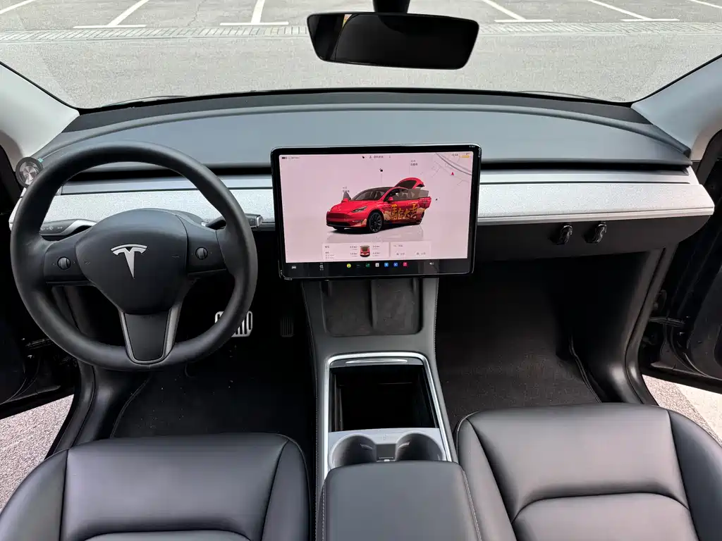 Tesla Model Y — миниатюра 13