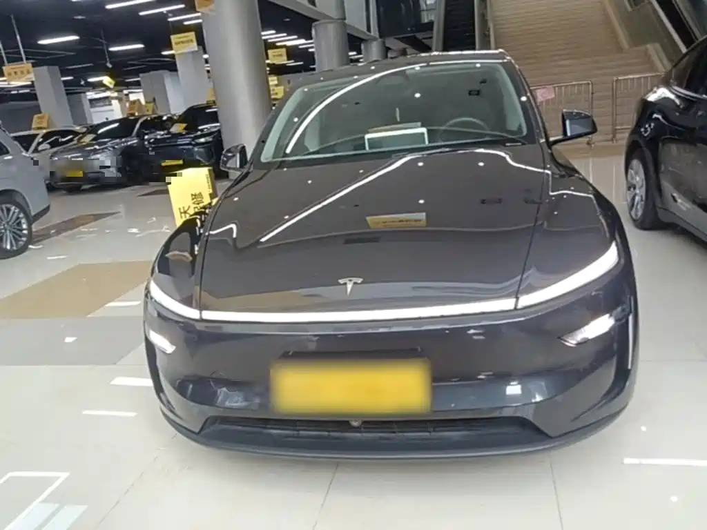 Tesla Model Y — миниатюра 3
