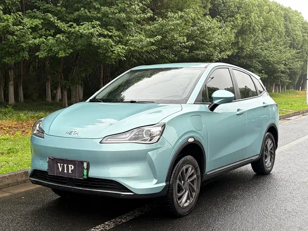 Neta V 2022 300 Lite