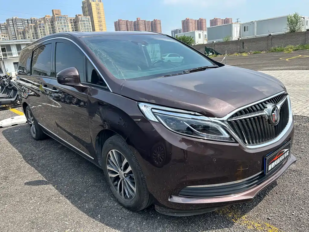 Buick GL8 — миниатюра 3