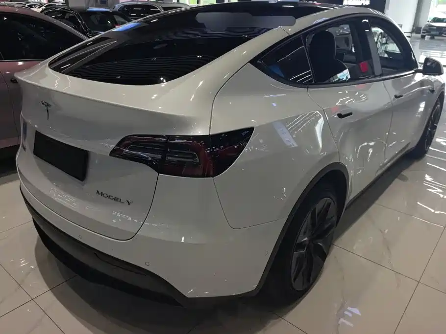 Tesla Model Y — миниатюра 3