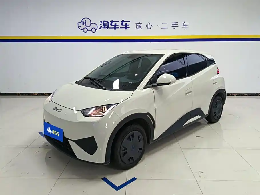 BYD Seagull