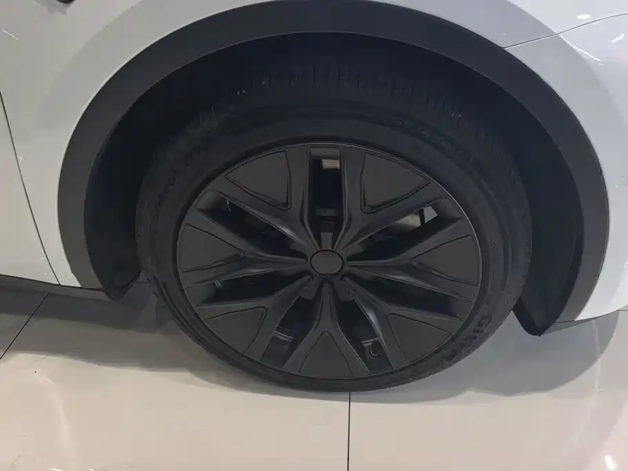 Tesla Model Y — миниатюра 6