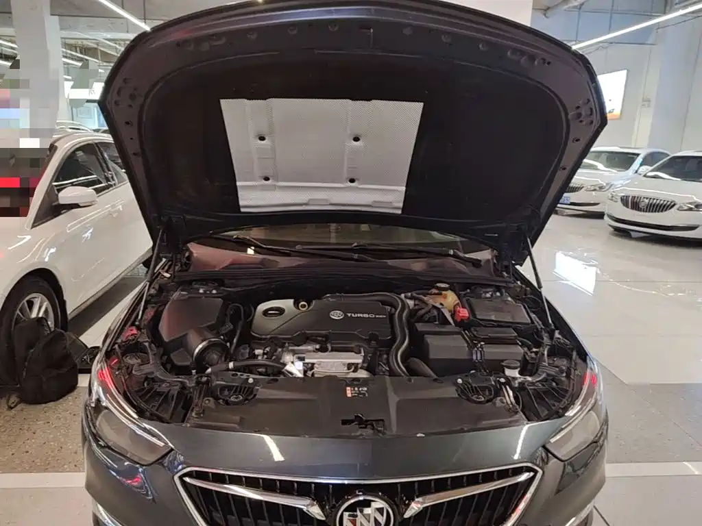 Buick Regal — миниатюра 20