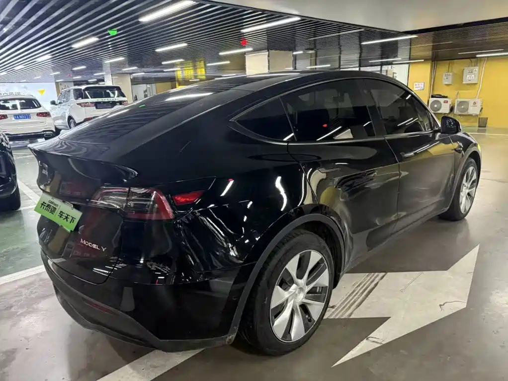 Tesla Model Y — миниатюра 4