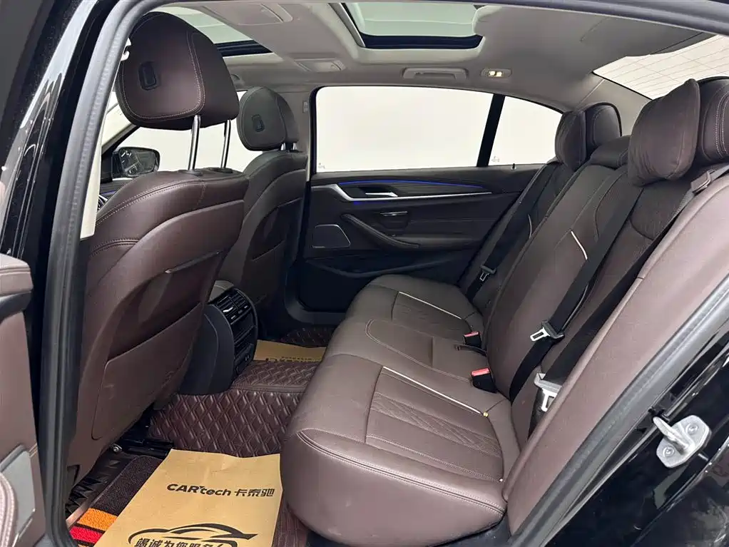 BMW 5 Series 5 2021 530Li Lead Luxury
