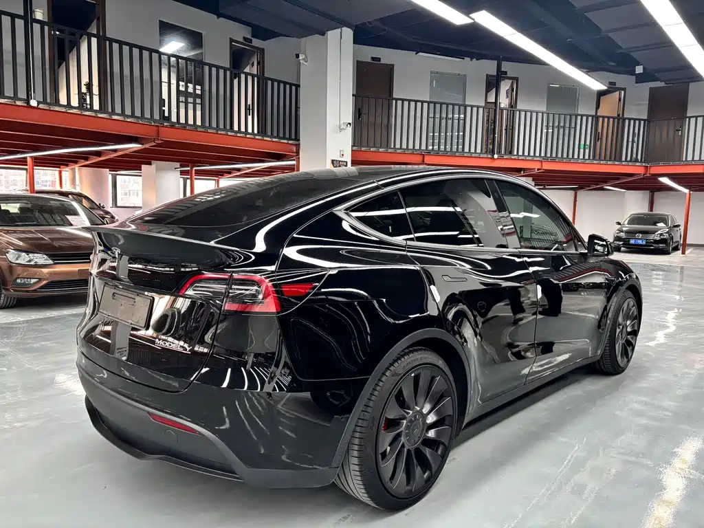 Tesla Model Y — миниатюра 17