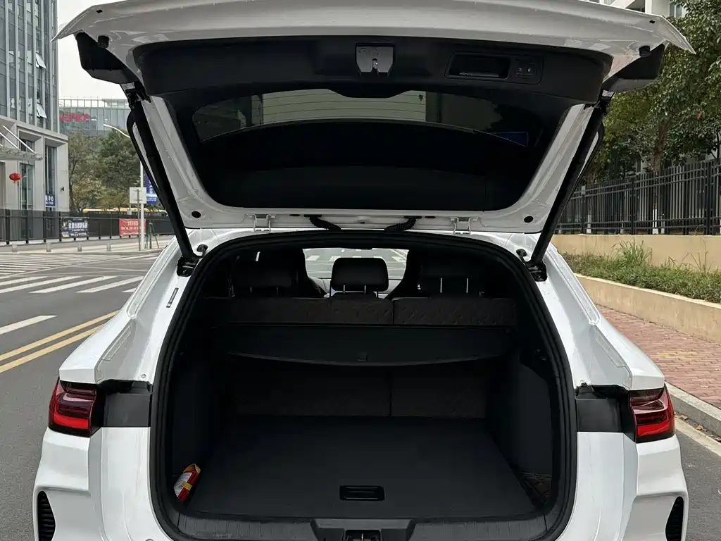 BYD SONGJIANG NEW ENERGY