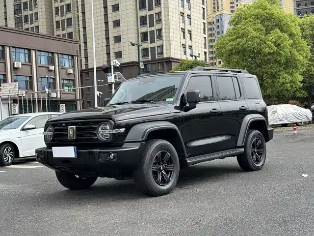 2021 TANK 300